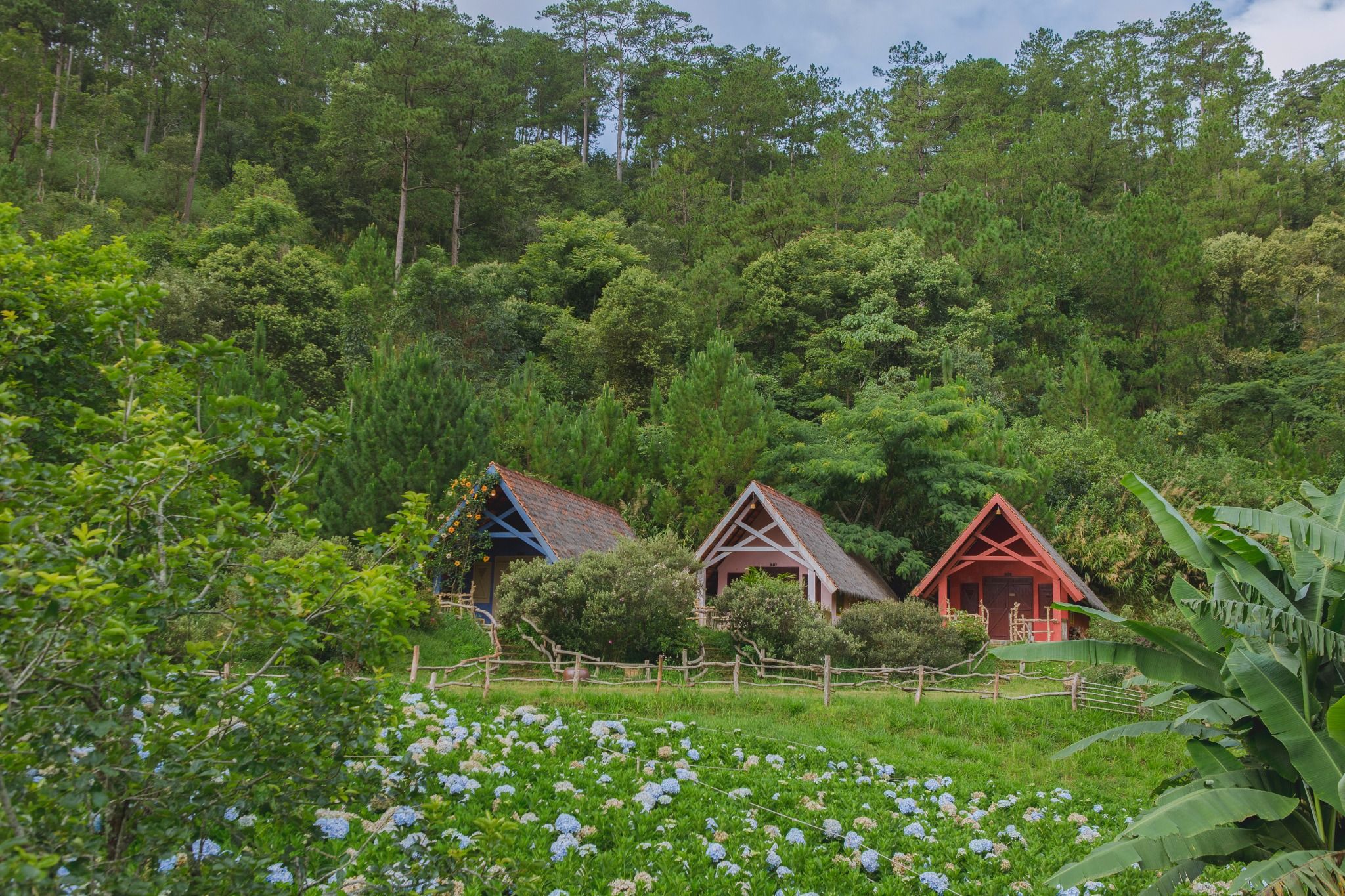 KHU NGHỈ DƯỠNG GIỮA RỪNG HOA